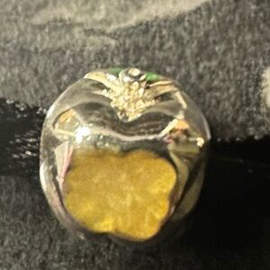 Snow White’s Bitten Apple Disney Chamilia Sterling Silver Bead